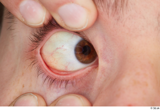 HD Eyes Frankie Perry eye eyelash iris pupil skin texture…